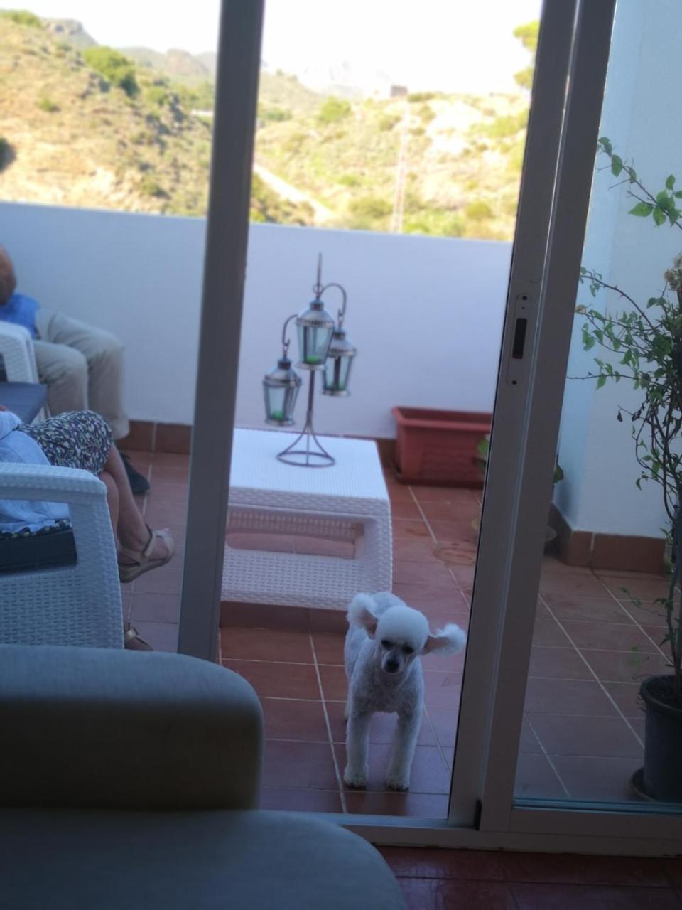 Joya Del Mar Daire Mojácar Dış mekan fotoğraf